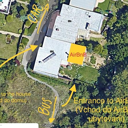Krasny Apartman U Lesa, Trolejbus Do Centra A Bvv, Parkovani Zdarma Brno Eksteriør bilde