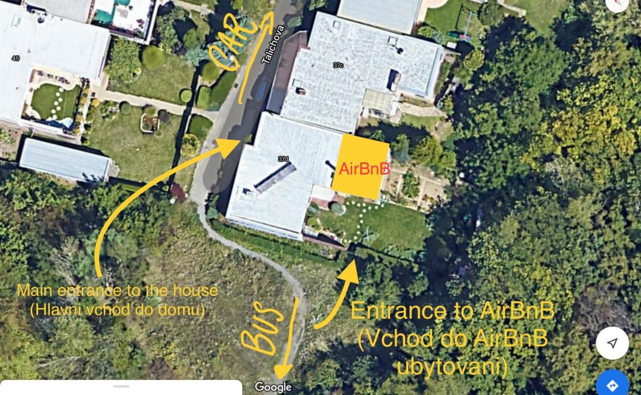 Krasny Apartman U Lesa, Trolejbus Do Centra A Bvv, Parkovani Zdarma Brno Eksteriør bilde